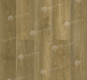 Ламинат SPC Alpine Floor Classic Light ECO 141-88 Бук