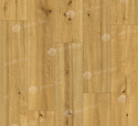 Ламинат SPC Alpine Floor Pro Nature Soledad 62538