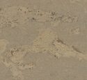 Пробковый пол Viva Cork Naturals Primus Greige 10.5 мм