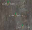 Ламинат SPC Damy Floor Ascent Strong K3053-3-ST Вайсхорн 43 класс 5 мм