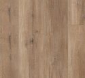Ламинат Tarkett Первая Сибирская Ясень коричневый 504466002