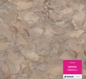 Линолеум Европа CORSICA 2