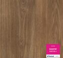 Линолеум Фаворит NORTON 4
