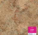 Линолеум Грация NUBIA 3