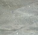 Ламинат SPC Alpine Floor Stone ECO 4-4 Авенгтон