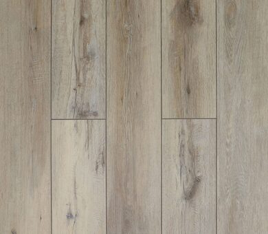 SPC Kronparket Tradition 161119 Дуб Рерих