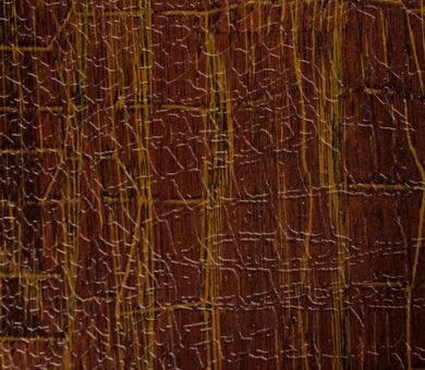 Оринокский крокодил 9403