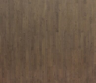 Focus Floor Трехполосная Дуб Bora