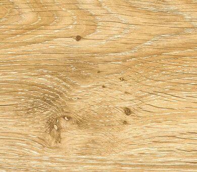 Дуб горный F40