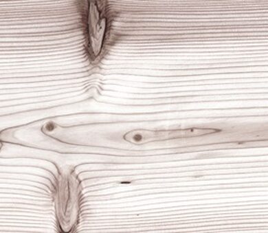 Granorte Vita Лиственница Frost