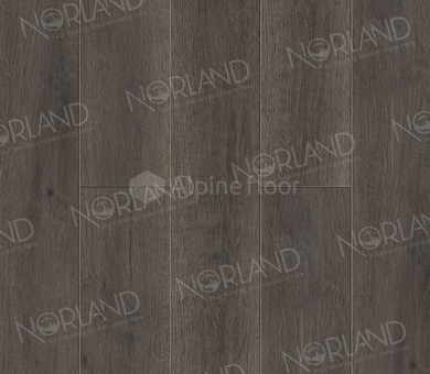 Ламинат SPC Norland Sigrid Plus 1006-2 Baggy