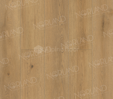 Ламинат SPC Norland Sigrid Plus 1006-10 Blake