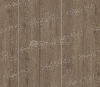 Ламинат SPC Norland Sigrid Plus 1006-3 Flosi
