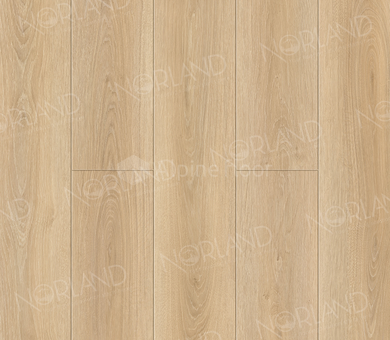 Ламинат SPC Norland Sigrid Plus 1006-9 Eli