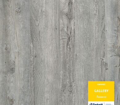 Ламинат Таркетт Gallery Пикассо