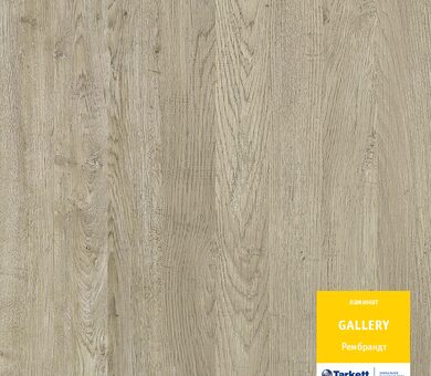 Ламинат Таркетт Gallery Рембрандт