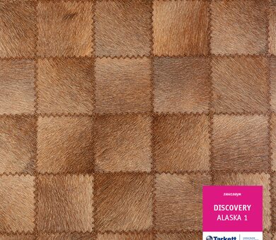 Линолеум Discovery ALASKA 1