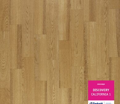 Линолеум Discovery CALIFORNIA 1