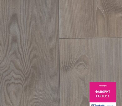 Линолеум Фаворит CARTER 1
