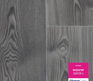 Линолеум Фаворит CARTER 4