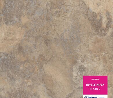 Линолеум Idylle nova PLATO 2