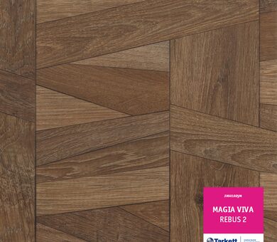 Линолеум Magia viva REBUS 2