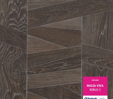 Линолеум Magia viva REBUS 3