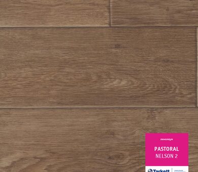 Линолеум Pastoral NELSON 2