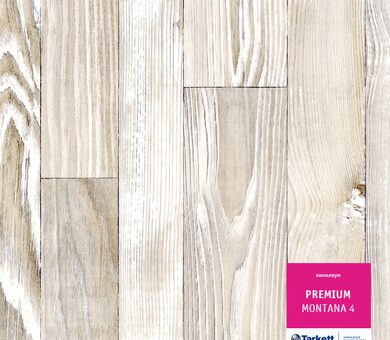 Линолеум Premium MONTANA 4