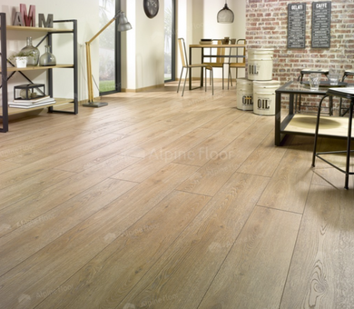 Ламинат Homflor Distingo Cajun Oak 535