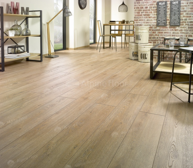 Ламинат Homflor Strong Cajun Oak 535