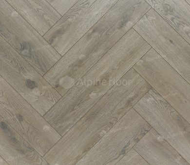 Ламинат Homflor Herringbone 8 мм Long Island 536