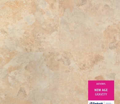 Tarkett Art Vinyl New Age 230180003 Gravity