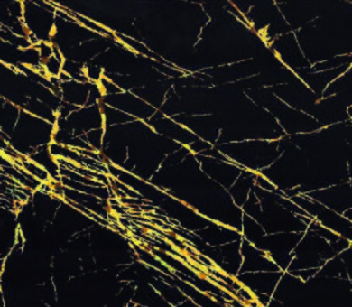 Виниловый ламинат Alpendorf 3055-7 Авиньон 43 класс 4,2 мм